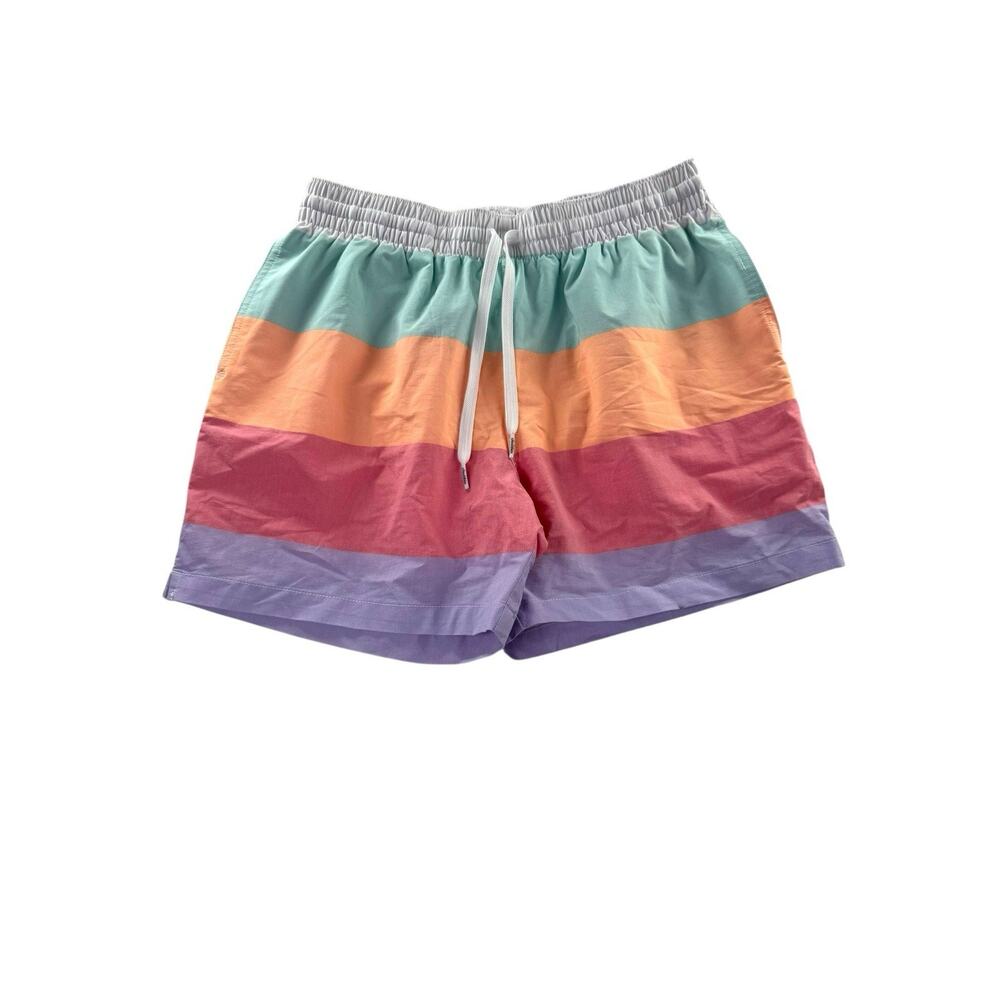 Chubbies Mens Medium Swim Trunks The Flavor Saver Pastel Retro Stripe Shorts